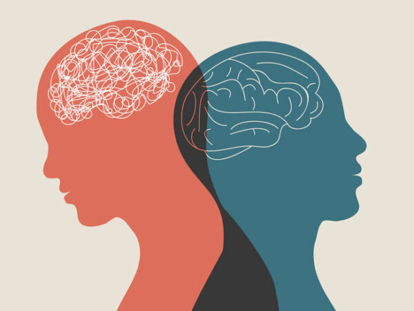 Results and Success through Mental Reframing - Diana Simu