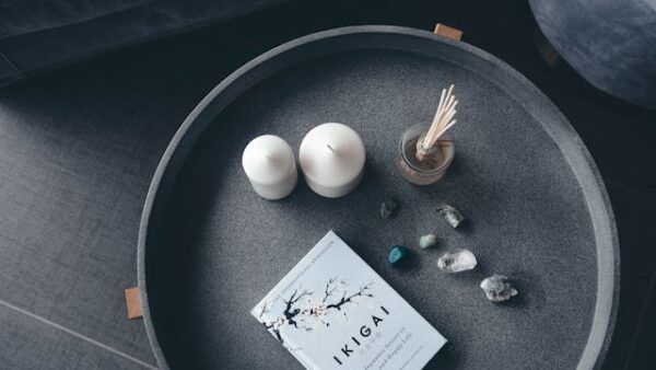 Untek your Balance and Harmony in your life with Ikigai Coaching - Bart Messing