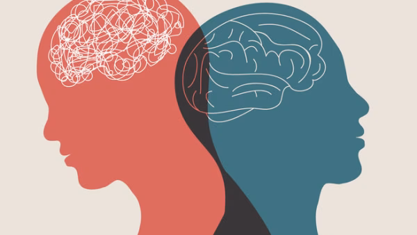 Results and Success through Mental Reframing - Diana Simu