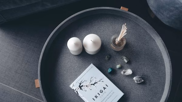 Untek your Balance and Harmony in your life with Ikigai Coaching - Bart Messing
