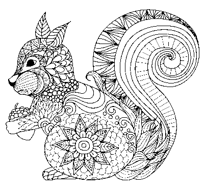 Zentangle tekening: Eekhoorn